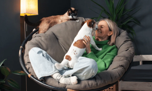 7 lições de vida que aprendemos com cães e gatos 