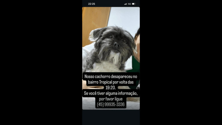 Cachorro Doki desapareceu no bairro Recanto Tropical