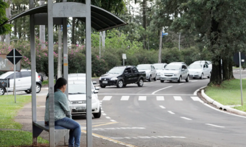 Como usar o novo aplicativo do transporte coletivo de Maringá?