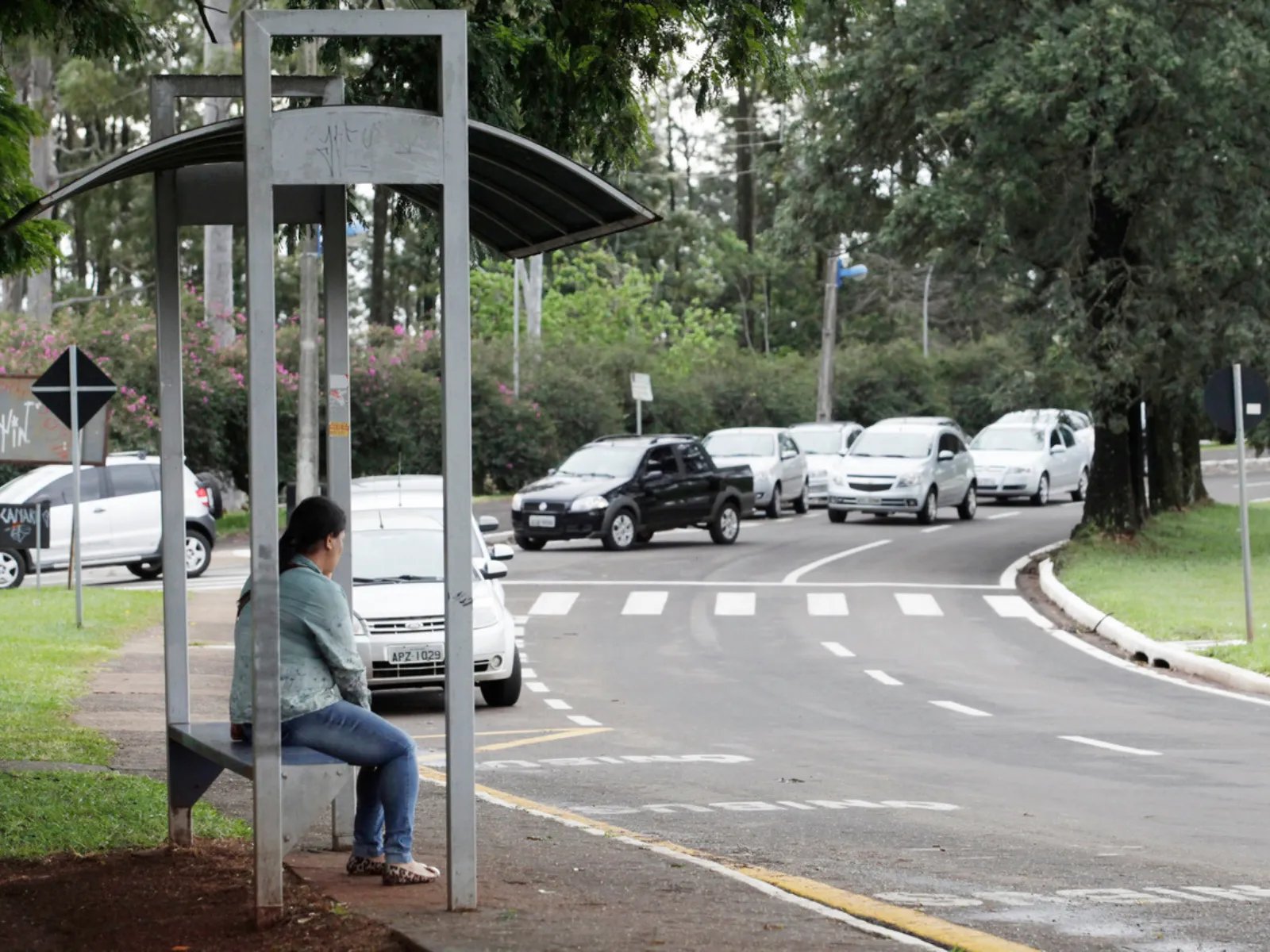 Como usar o novo aplicativo do transporte coletivo de Maringá?