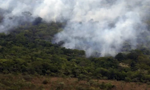 Copernicus: emissão global de gases por incêndios é a menor em 24 anos