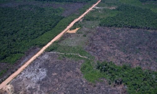 Eco Invest Brasil promove quinto leilão para financiar inovação
