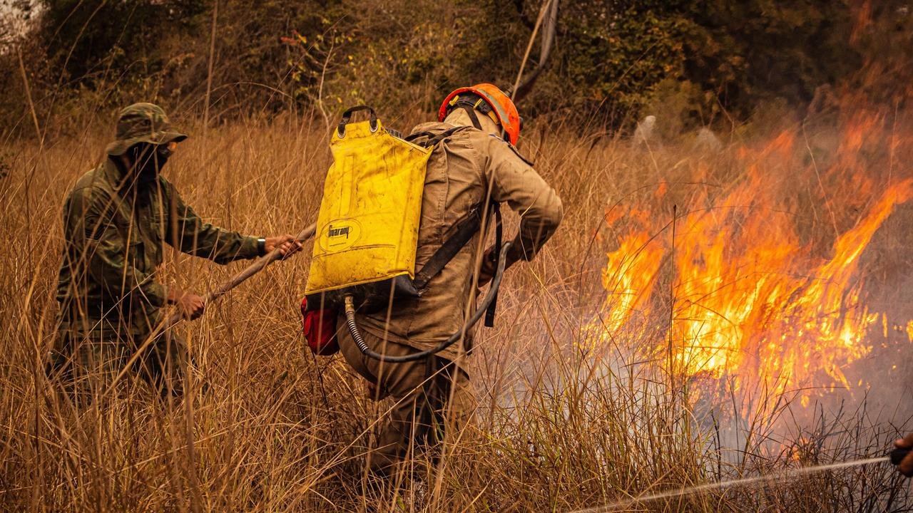 Enquanto muita gente dorme, tem quem esteja de olho na floresta; hoje é o Dia Mundial do Guarda-Florestal