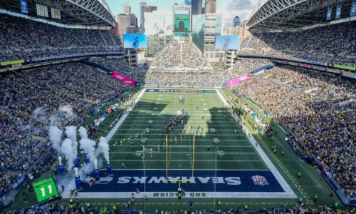 Seattle Seahawks logo