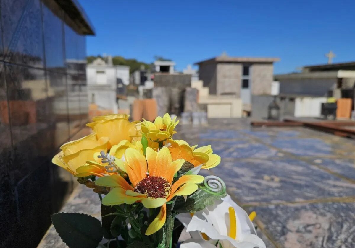 Falecimentos em Curitiba; Obituário deste domingo (12/07)