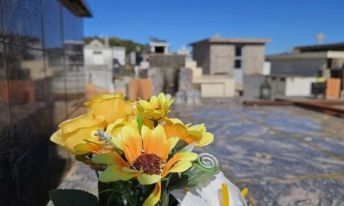 Falecimentos em Curitiba; Obituário deste domingo (12/07)