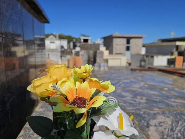 Falecimentos em Curitiba; Obituário deste domingo (12/07)