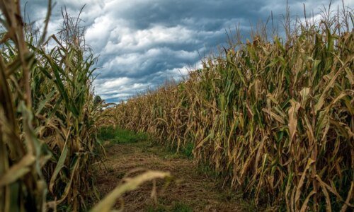 Frio intenso chega ao Paraná com temperatura de 9°C e alertas de tempestade