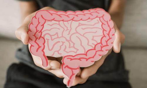 Inchaço, fadiga e intestino preso: a culpa é mesmo da disbiose?