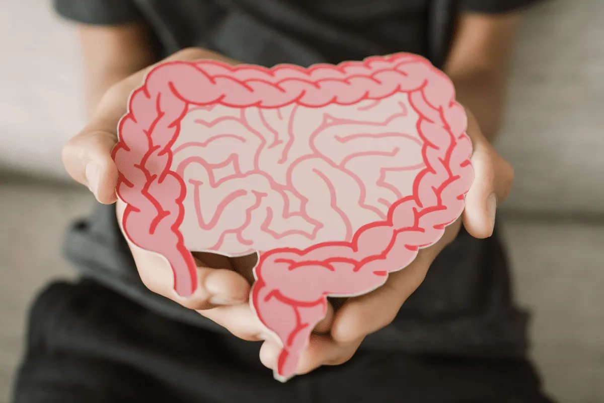 Inchaço, fadiga e intestino preso: a culpa é mesmo da disbiose?