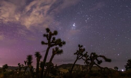 Look up: The Perseid meteor shower is here
