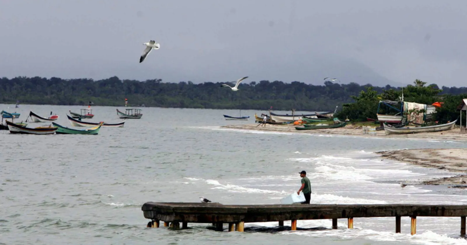 Paraná tenta novamente destravar projeto da "BR do Mar"