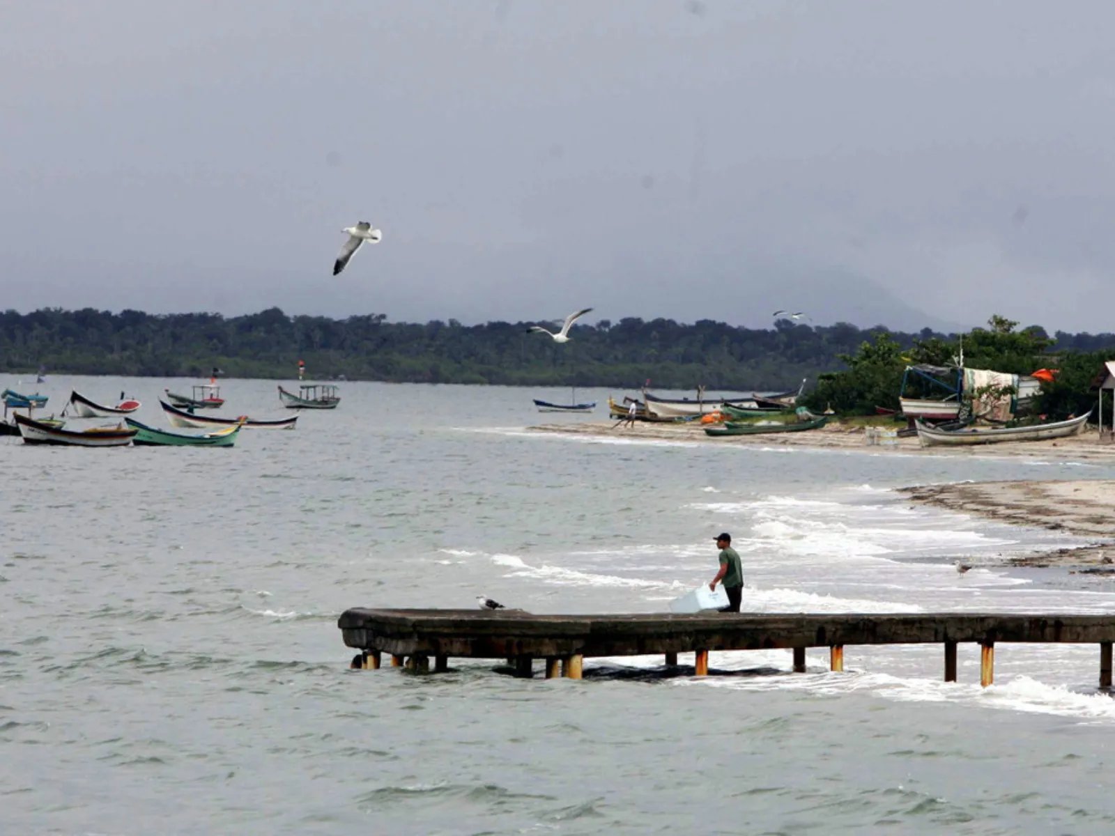 Paraná tenta novamente destravar projeto da "BR do Mar"