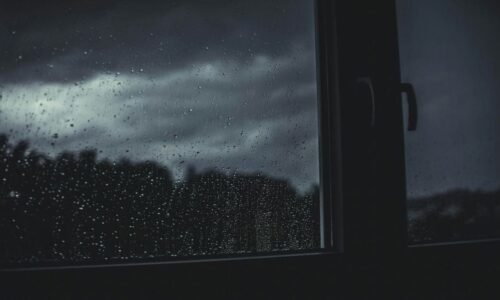 Pronóstico del clima en Salamanca, Guanajuato para el miércoles 1 de julio: Temperatura, lluvia y calidad del aire. Mantente informado con El Heraldo de México.