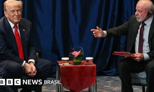Qual o impacto do tarifaço de Trump no Brasil? 'Deve ser restrito' e mostra 'limites do protecionismo americano', diz economista
