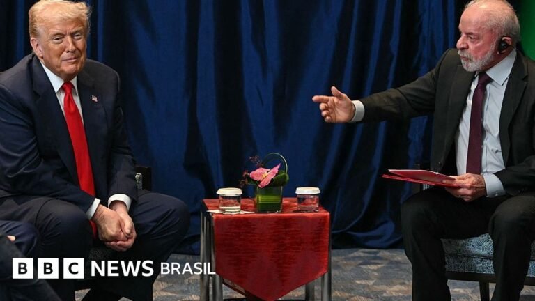 Qual o impacto do tarifaço de Trump no Brasil? 'Deve ser restrito' e mostra 'limites do protecionismo americano', diz economista
