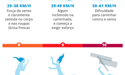 Qual velocidade do vento é capaz de te derrubar? Infográfico mostra impactos das rajadas sobre o corpo humano