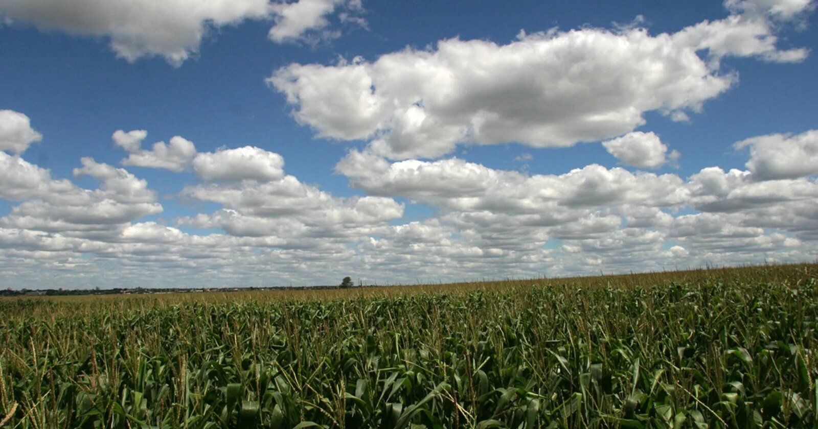 Seca recua no Paraná após chuvas até 120 mm acima da média