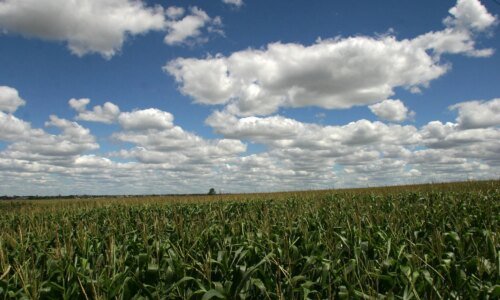 Seca recua no Paraná após chuvas até 120 mm acima da média