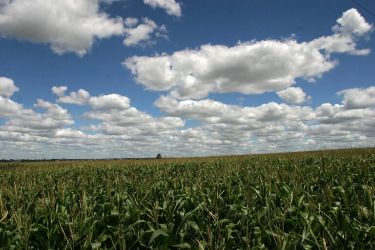 Seca recua no Paraná após chuvas até 120 mm acima da média