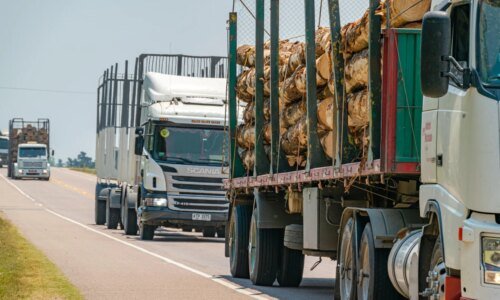 Tarifa de 25% dos EUA ameaça indústria da madeira do Paraná