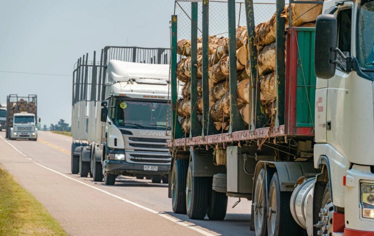 Tarifa de 25% dos EUA ameaça indústria da madeira do Paraná