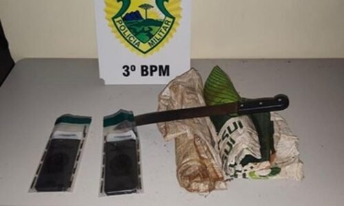 Três mulheres são presas após furto de milho em propriedade rural no Paraná