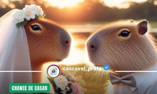Últimos dias de inscrição para Casamento Coletivo 2026 em Cascavel; mais de 60 casais já confirmaram participação