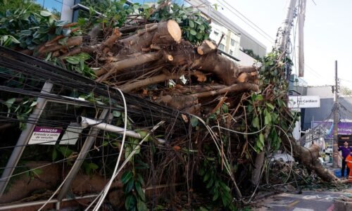 Ventania em RJ, SP e RS expõe falhas na resposta a extremos climáticos