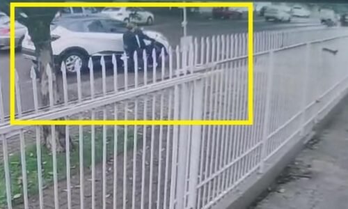 Vídeo mostra acidente que deixou adolescente ferida no Centro