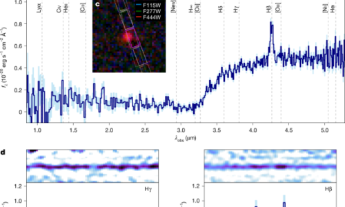A gas-enshrouded and gas-reddened black hole at cosmic dawn