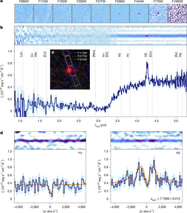 A gas-enshrouded and gas-reddened black hole at cosmic dawn