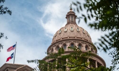 California couple’s surrogate gives birth in Texas after judge orders life-saving care