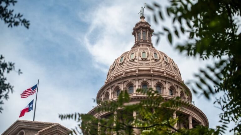 California couple’s surrogate gives birth in Texas after judge orders life-saving care