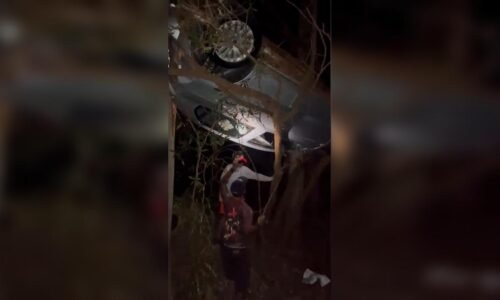 Carro fica pendurado em árvore após acidente na PR-542
