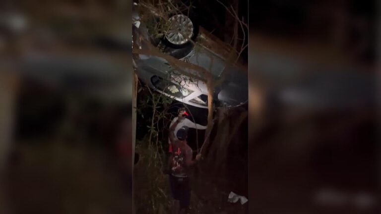 Carro fica pendurado em árvore após acidente na PR-542