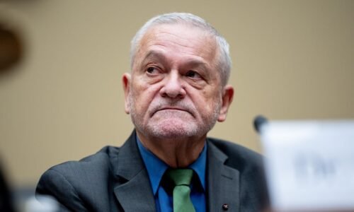 David Morens, former NIAID adviser, pleads guilty in COVID-19 records scheme