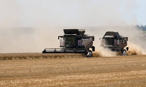 El Niño: estoques e tecnologia reduzem risco global - 11/08/2026 - Economia