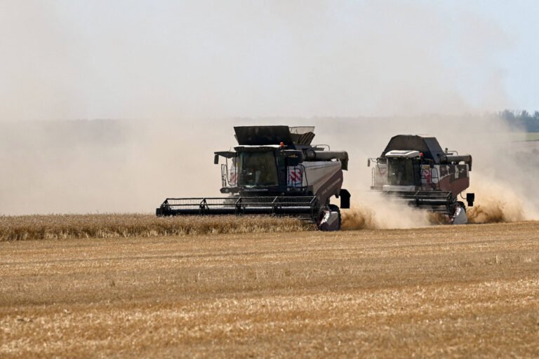 El Niño: estoques e tecnologia reduzem risco global - 11/08/2026 - Economia