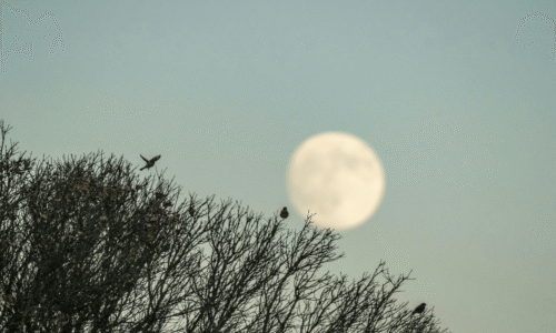 Fase da Lua hoje: 26/08/2026