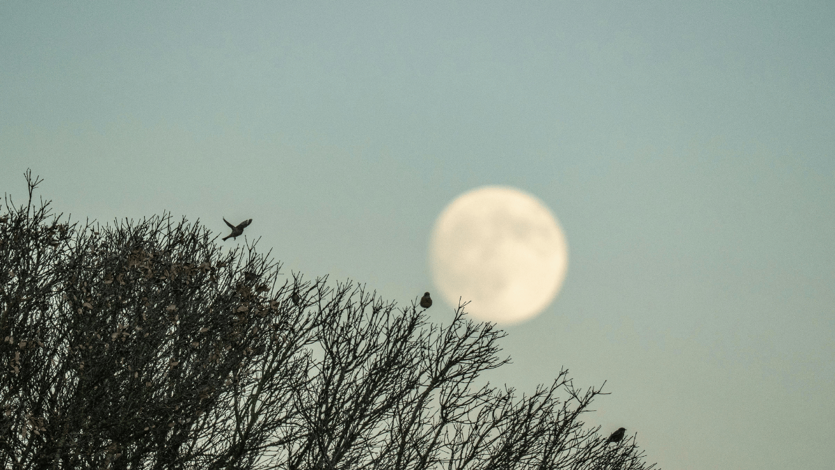 Fase da Lua hoje: 26/08/2026
