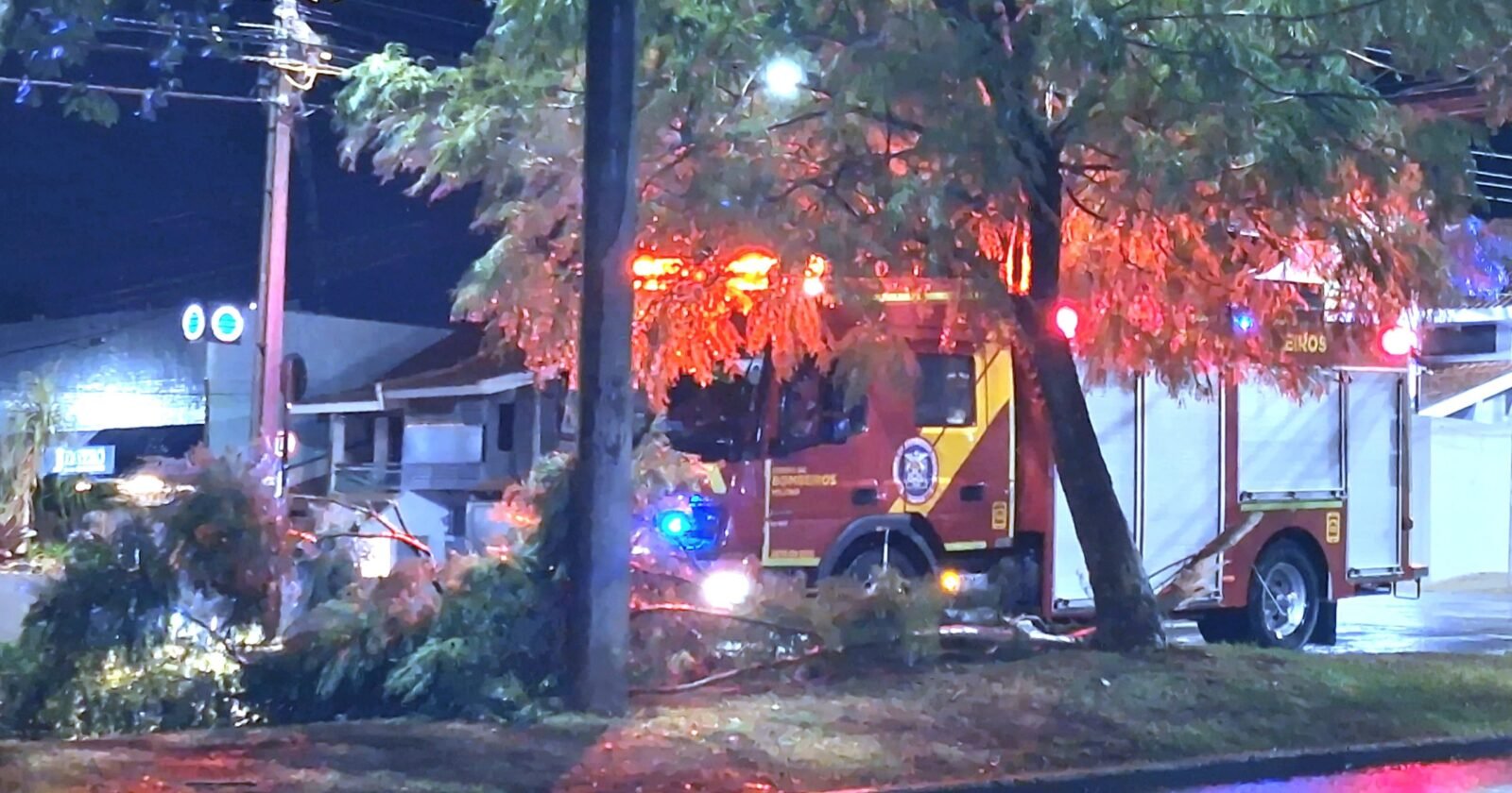 Galho de árvore cai e interdita Avenida Toledo durante a madrugada em Cascavel