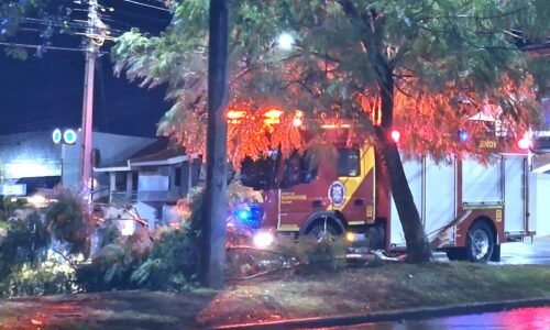 Galho de árvore cai e interdita Avenida Toledo durante a madrugada em Cascavel