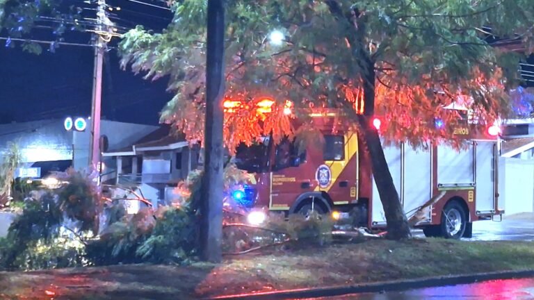 Galho de árvore cai e interdita Avenida Toledo durante a madrugada em Cascavel