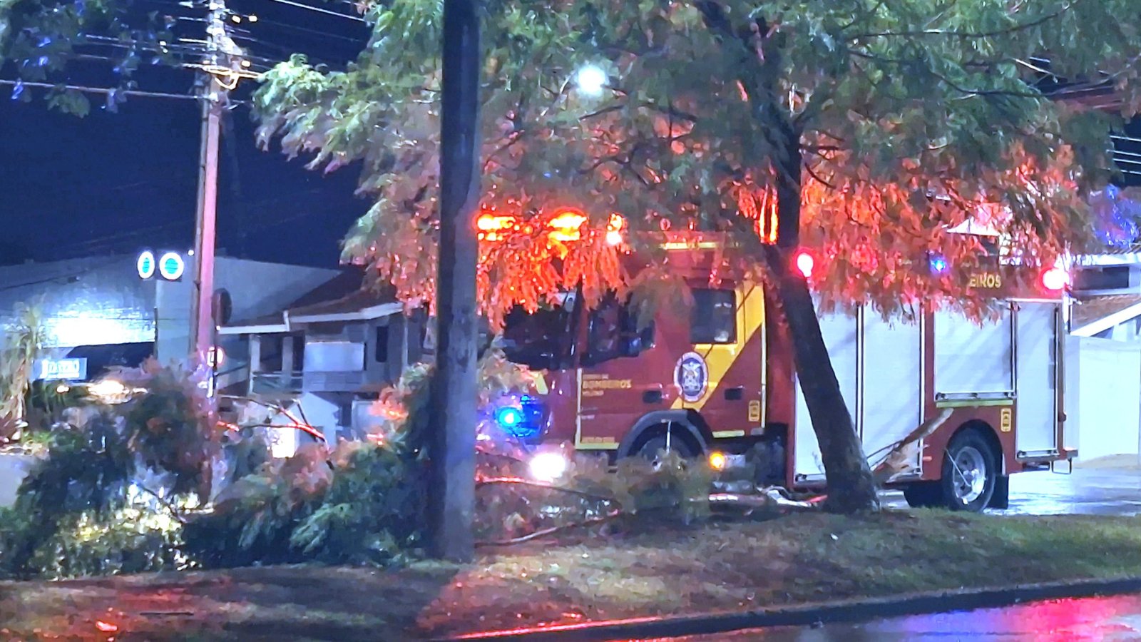 Galho de árvore cai e interdita Avenida Toledo durante a madrugada em Cascavel