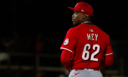 Have the Cincinnati Reds fixed Luis Mey?