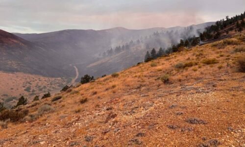 Hawk Fire now 27% contained, 32 homes destroyed