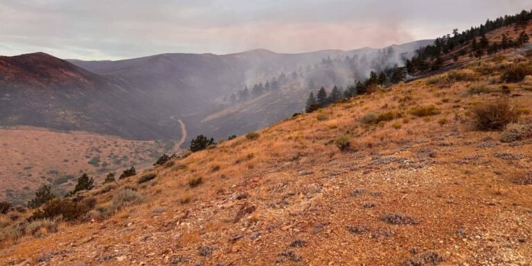 Hawk Fire now 27% contained, 32 homes destroyed