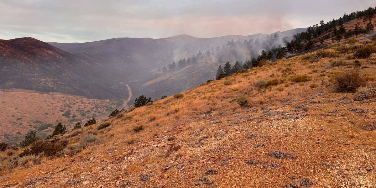Hawk Fire now 27% contained, 32 homes destroyed