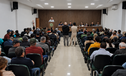MPPR realiza audiência pública sobre falhas no serviço de energia elétrica